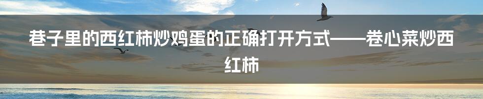 巷子里的西红柿炒鸡蛋的正确打开方式——卷心菜炒西红柿