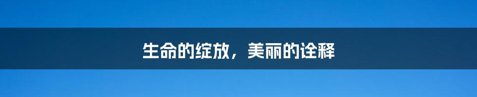 生命的绽放,美丽的诠释