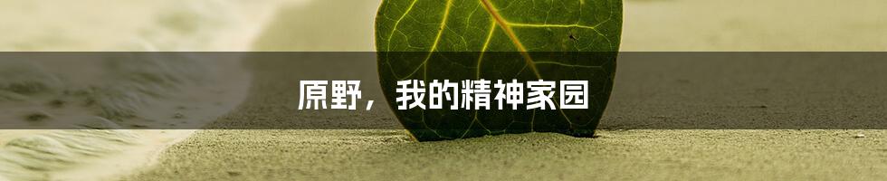 原野,我的精神家园