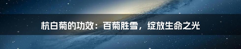 杭白菊的功效:百菊胜雪,绽放生命之光