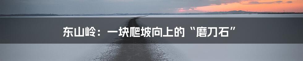 东山岭：一块爬坡向上的“磨刀石”