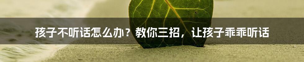 孩子不听话怎么办?教你三招,让孩子乖乖听话