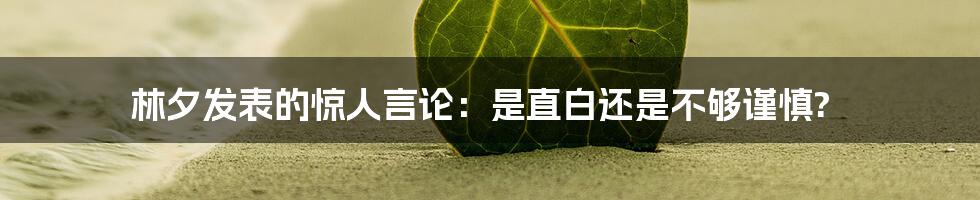 林夕发表的惊人言论:是直白还是不够谨慎?