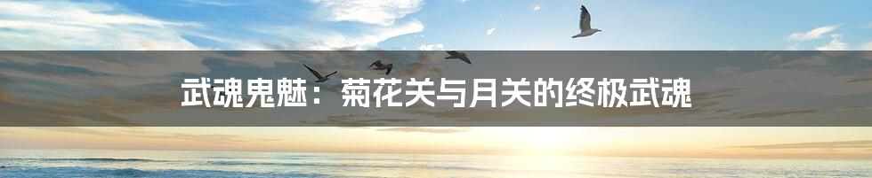 武魂鬼魅:菊花关与月关的终极武魂