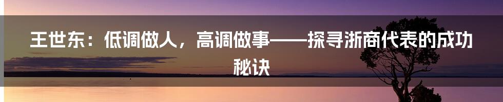 王世东：低调做人，高调做事——探寻浙商代表的成功秘诀