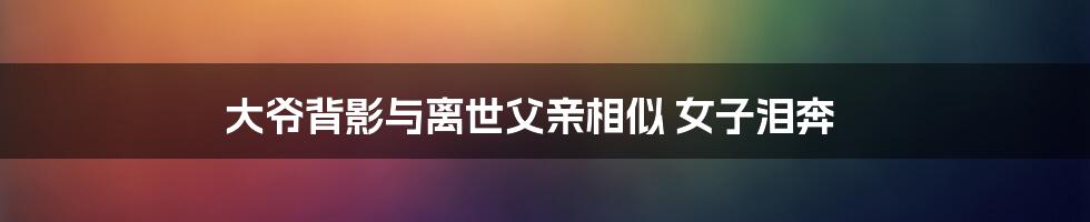 大爷背影与离世父亲相似 女子泪奔