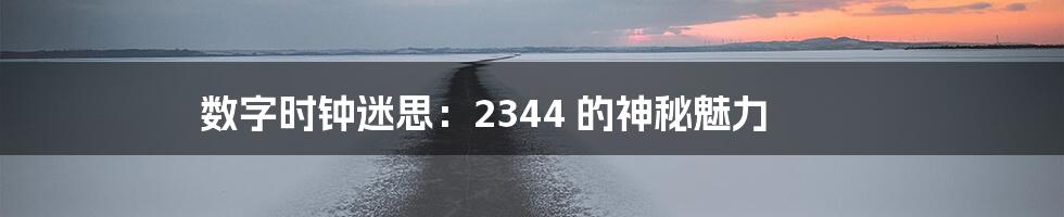 数字时钟迷思:2344 的神秘魅力