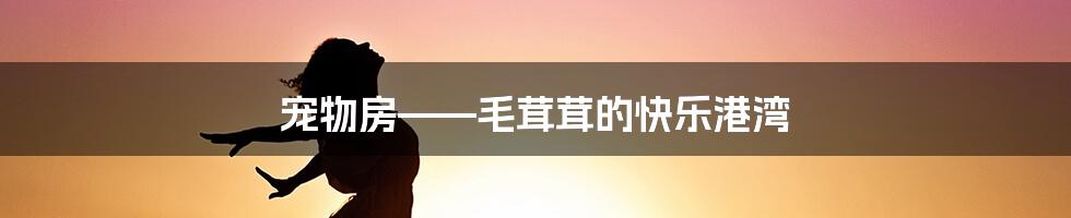 宠物房——毛茸茸的快乐港湾