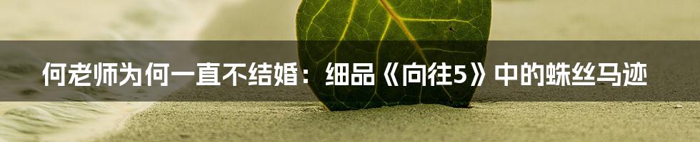 何老师为何一直不结婚：细品《向往5》中的蛛丝马迹
