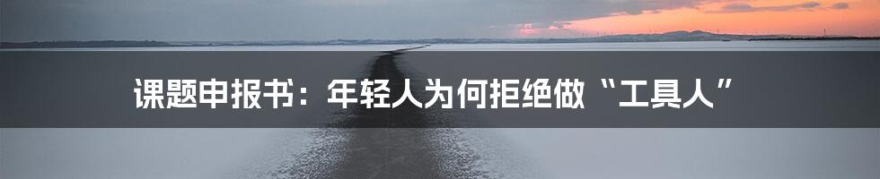 课题申报书:年轻人为何拒绝做“工具人”