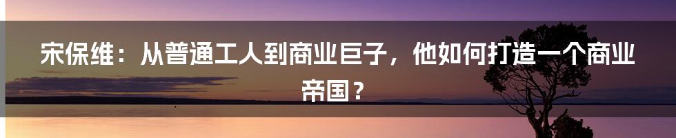 宋保维:从普通工人到商业巨子,他如何打造一个商业帝国?
