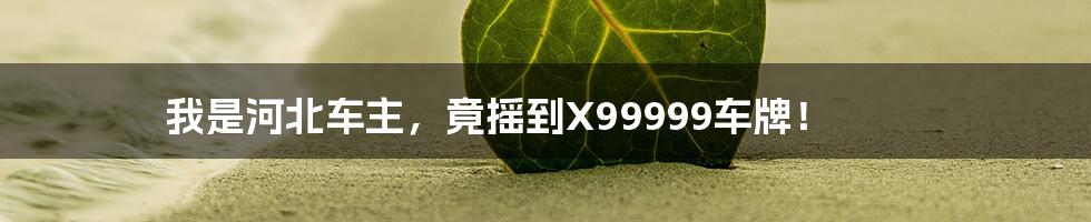 我是河北车主，竟摇到X99999车牌！