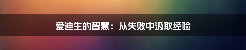 爱迪生的智慧:从失败中汲取经验