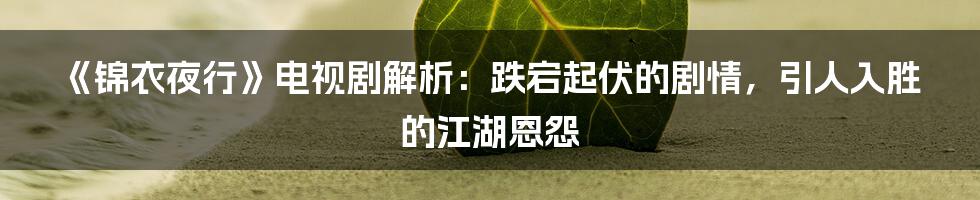 《锦衣夜行》电视剧解析：跌宕起伏的剧情，引人入胜的江湖恩怨