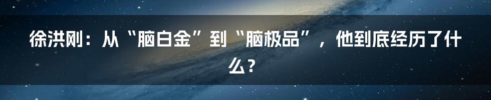 徐洪刚：从“脑白金”到“脑极品”，他到底经历了什么？