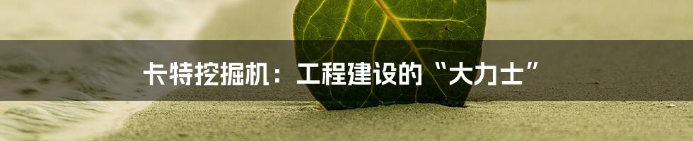 卡特挖掘机：工程建设的“大力士”