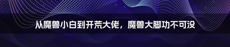 从魔兽小白到开荒大佬，魔兽大脚功不可没