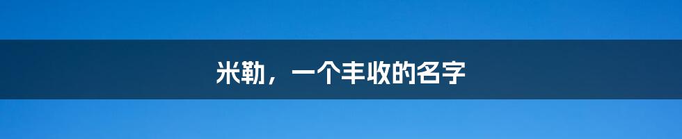 米勒,一个丰收的名字