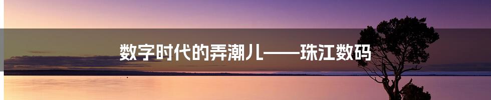 数字时代的弄潮儿——珠江数码