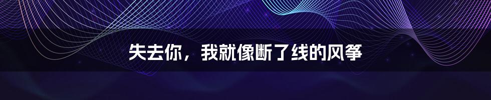 失去你,我就像断了线的风筝