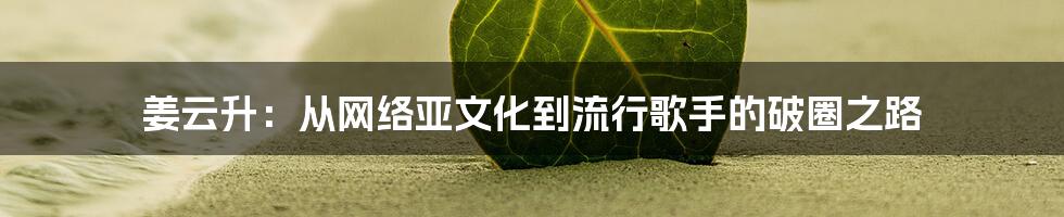 姜云升：从网络亚文化到流行歌手的破圈之路