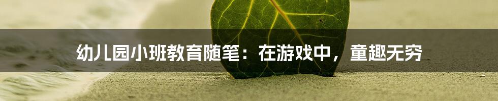 幼儿园小班教育随笔：在游戏中，童趣无穷