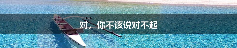 对,你不该说对不起