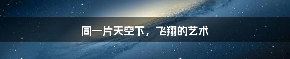 同一片天空下，飞翔的艺术