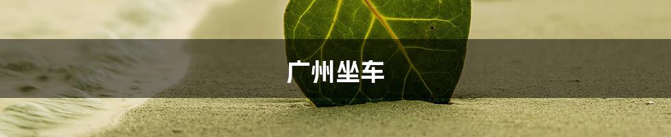 广州坐车