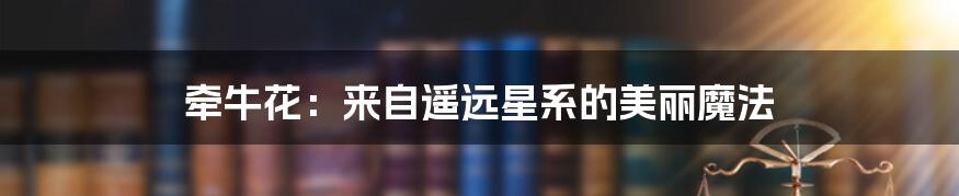 牵牛花:来自遥远星系的美丽魔法