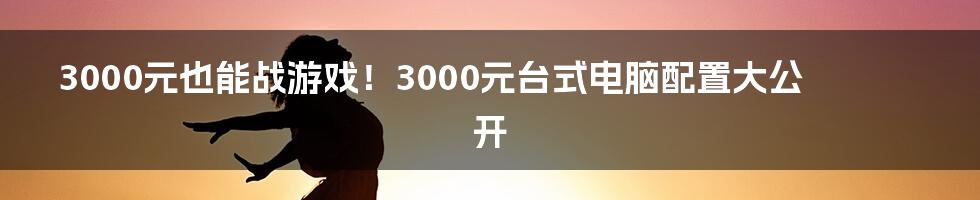 3000元也能战游戏!3000元台式电脑配置大公开