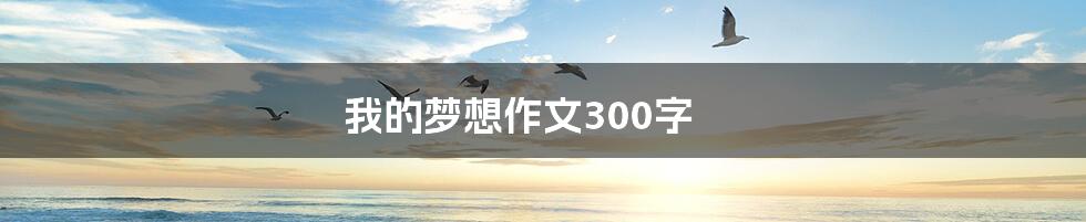 我的梦想作文300字