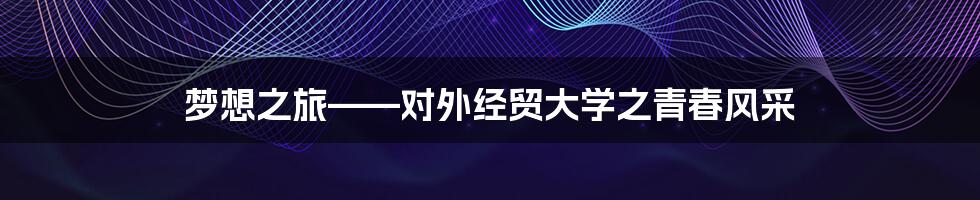 梦想之旅——对外经贸大学之青春风采