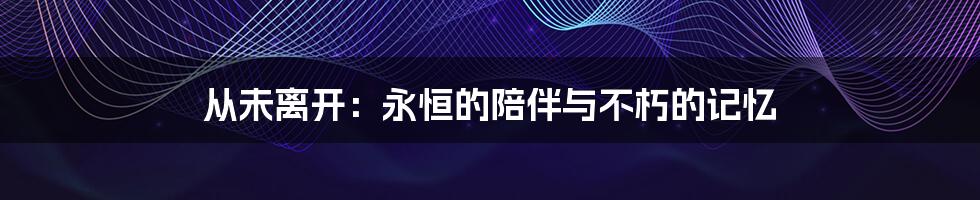 从未离开:永恒的陪伴与不朽的记忆