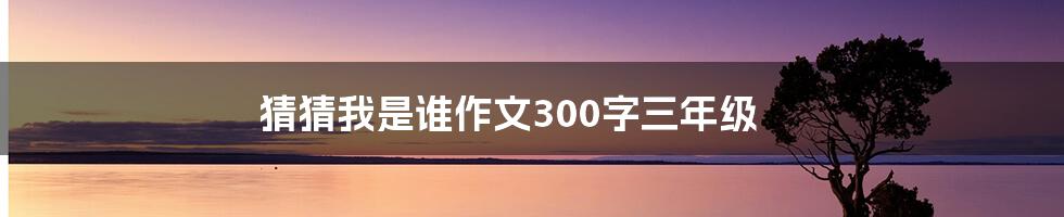猜猜我是谁作文300字三年级