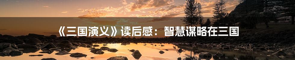 《三国演义》读后感：智慧谋略在三国
