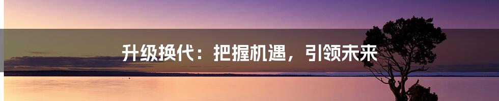 升级换代：把握机遇，引领未来