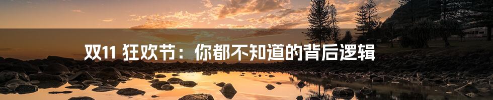 双11 狂欢节:你都不知道的背后逻辑