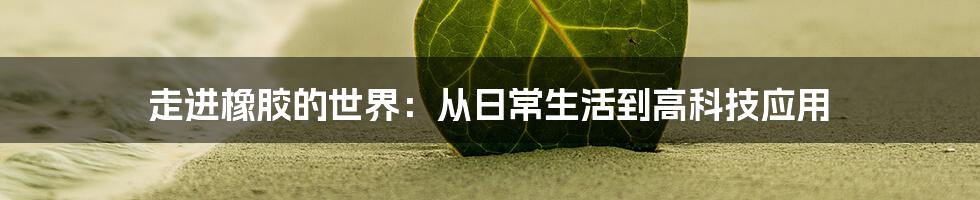 走进橡胶的世界:从日常生活到高科技应用