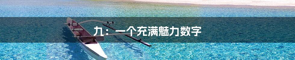 九:一个充满魅力数字