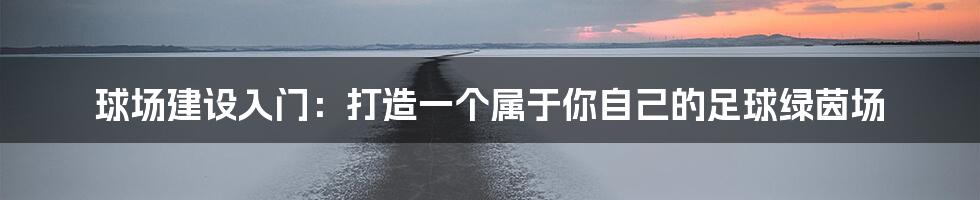 球场建设入门:打造一个属于你自己的足球绿茵场
