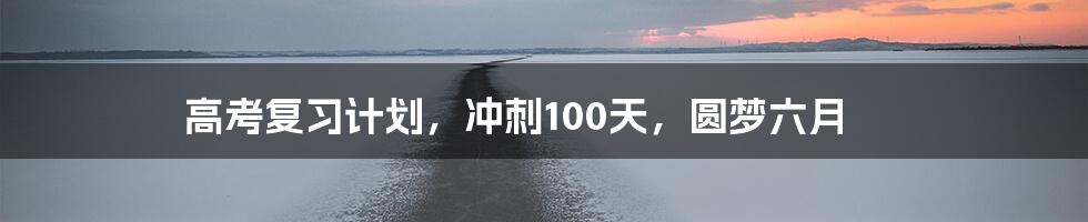 高考复习计划,冲刺100天,圆梦六月