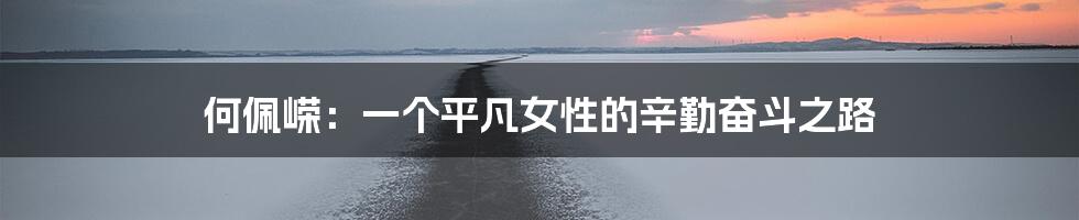 何佩嵘:一个平凡女性的辛勤奋斗之路