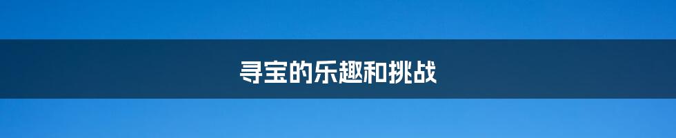 寻宝的乐趣和挑战