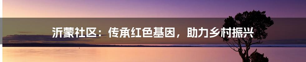沂蒙社区：传承红色基因，助力乡村振兴