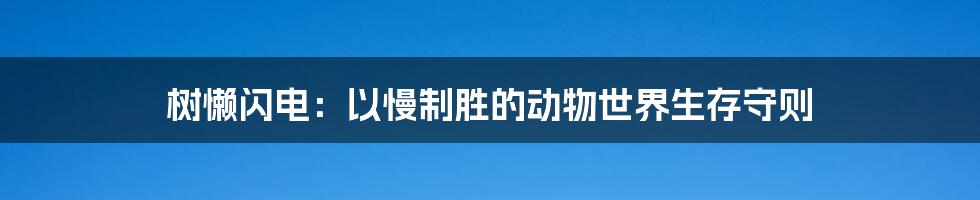 树懒闪电：以慢制胜的动物世界生存守则