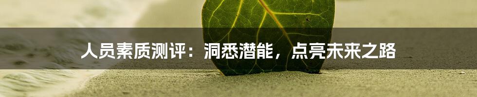 人员素质测评:洞悉潜能,点亮未来之路