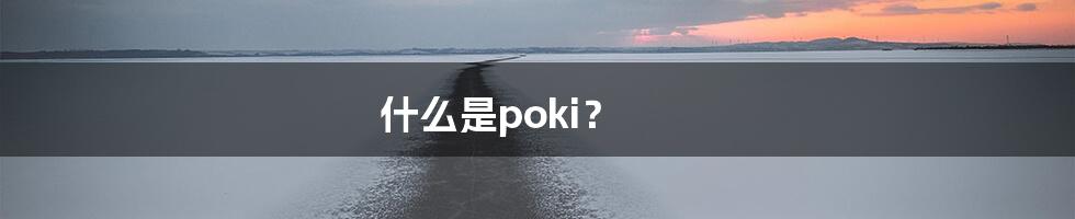 什么是poki？