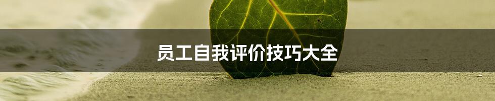 员工自我评价技巧大全
