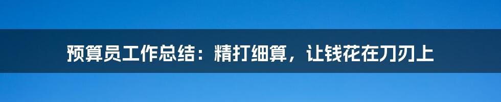 预算员工作总结：精打细算，让钱花在刀刃上